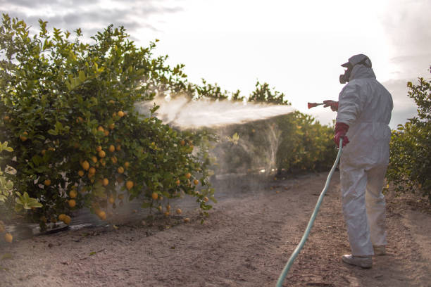 Best Pest Removal Services  in Dauphin, PA