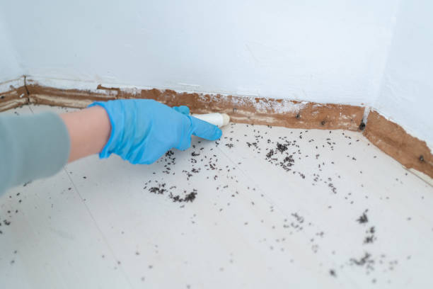Best Mosquito Control Services  in Dauphin, PA