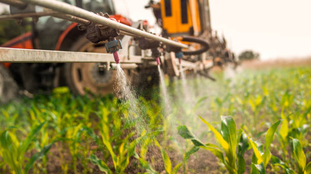 Pest Prevention Services in Dauphin, PA